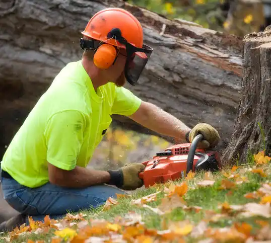 tree services Delevan